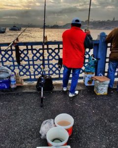 Morning catch at Galata bridge